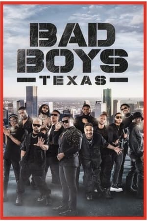Bad Boys Texas