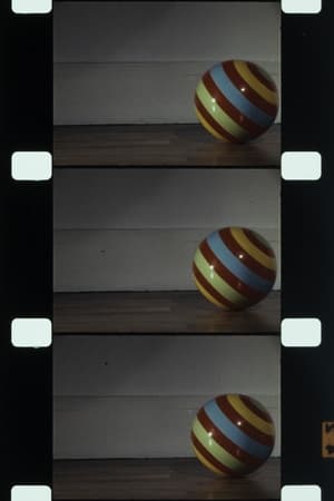 Balance Ball