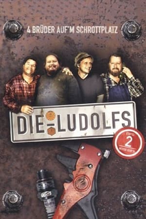 Die Ludolfs – 4 Brüder auf'm Schrottplatz第2季
