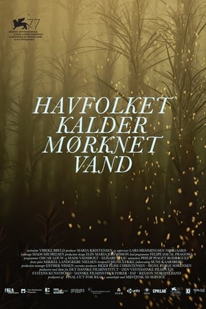 Havfolket Kalder Mørknet Vand