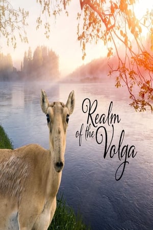 Im Reich der Wolga