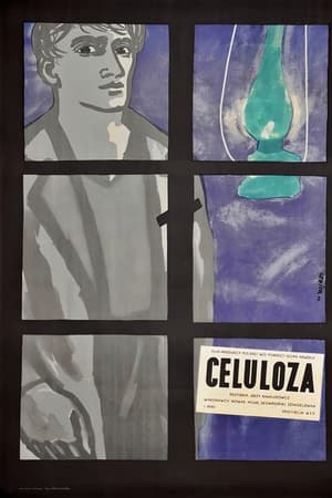 Celuloza