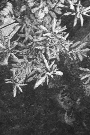 Konfiguration schwarz und weiss