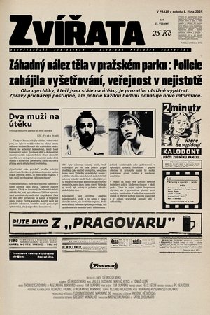 Zvířata