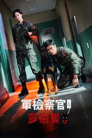 军检察官多伯曼犬