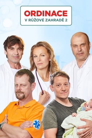 Ordinace v růžové zahradě第2季