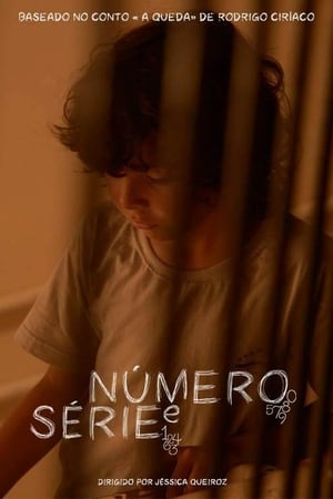 Número e Série