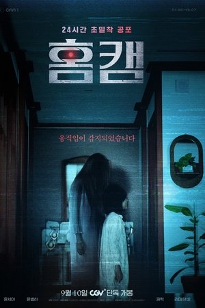 홈캠