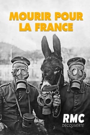 Mourir pour la France