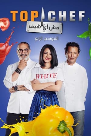 توب شيف第4季