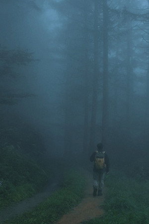 부자산행