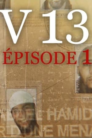 V13 - La série documentaire