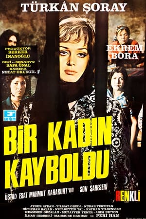 Bir Kadın Kayboldu