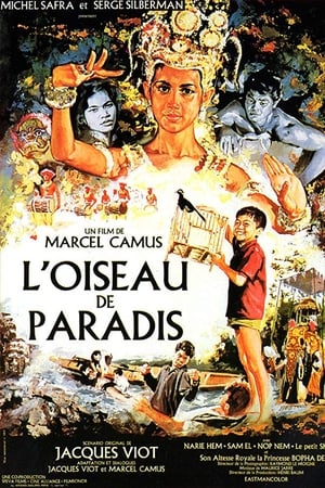 L'Oiseau de paradis