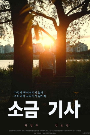 소금 기사