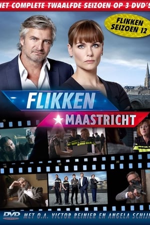 Flikken Maastricht第12季