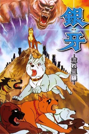银牙：流星之银