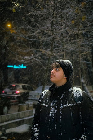 سید محمد هادی میرشاه ولایتی