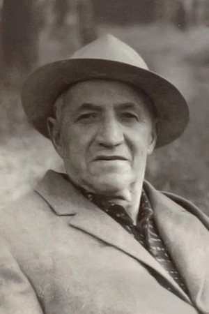 Vladimir Shvejtser