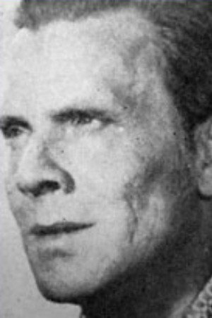 Aleksei Temerin