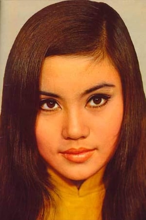 许治美