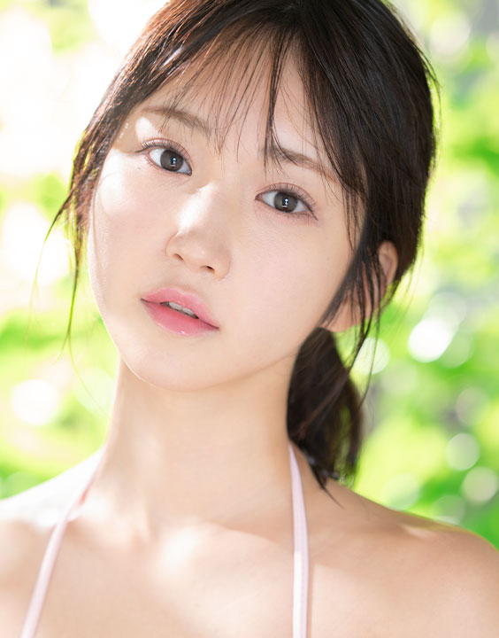 依本しおり