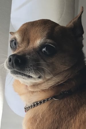 Pepe