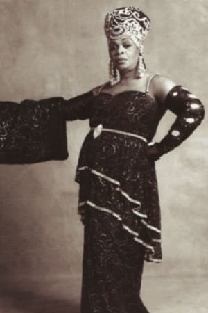 Avis Pendavis